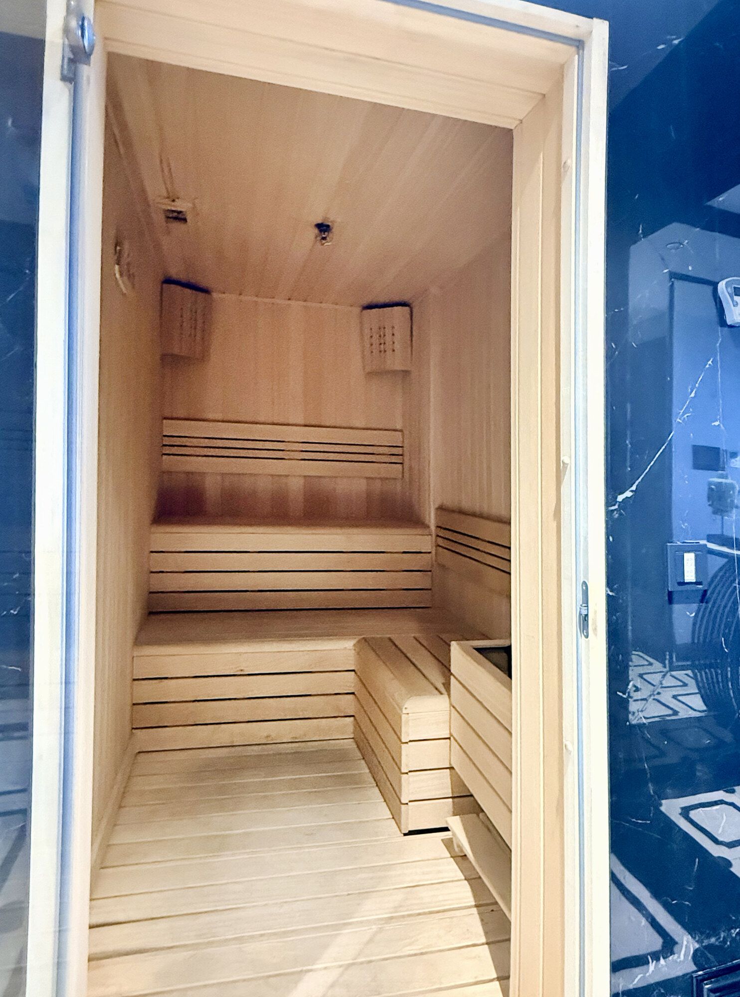 CITYLOFT 175 Presidential Suite: Ahşap kaplı özel sauna