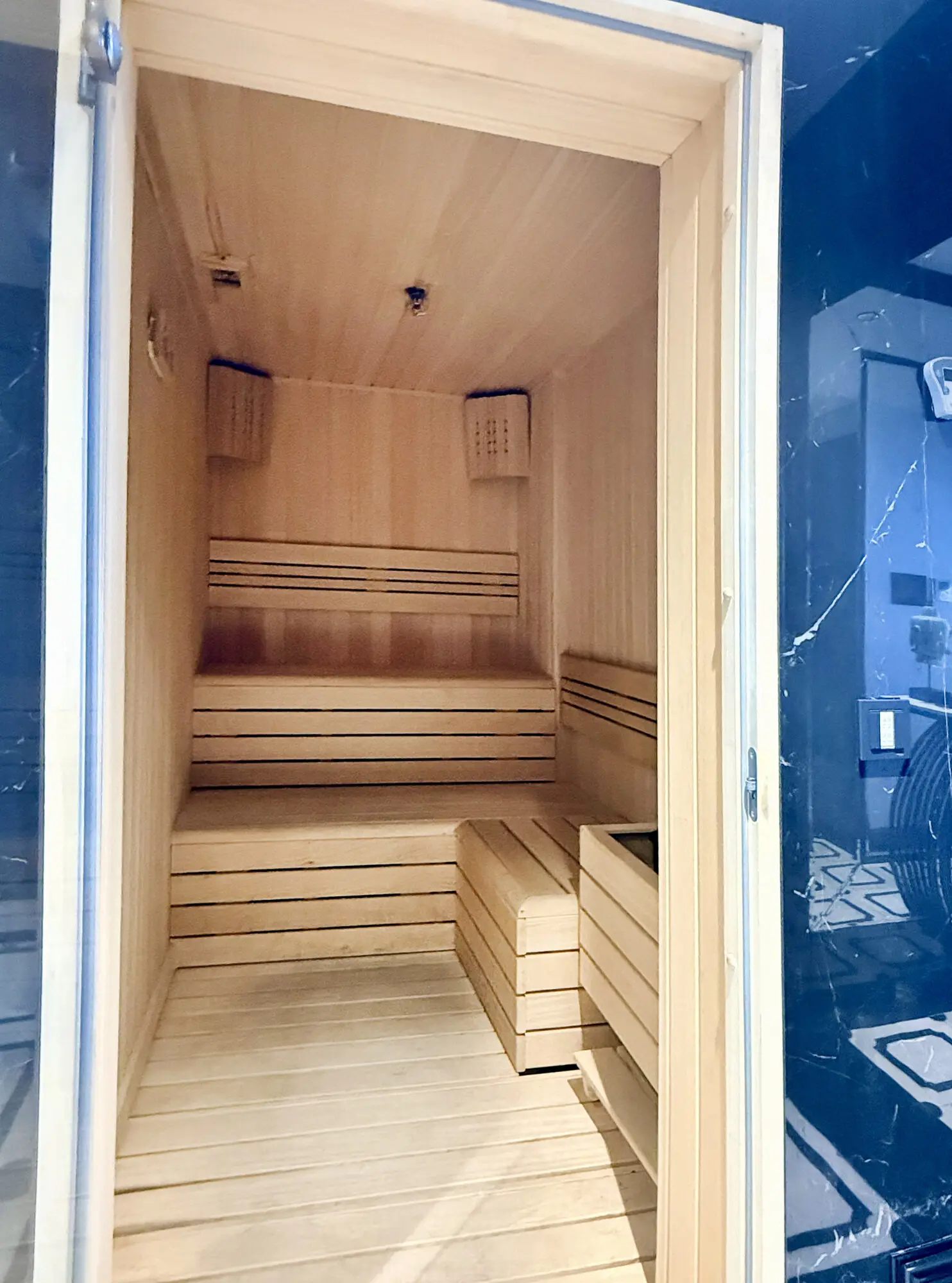 CITYLOFT 175 Presidential Suite: Ahşap kaplı özel sauna