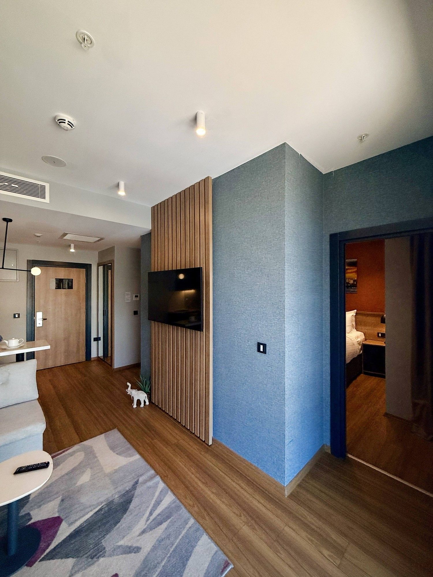 CITYLOFT 175 Deluxe Suite: Giriş, TV duvarı ve ayrı yatak odası kapısı