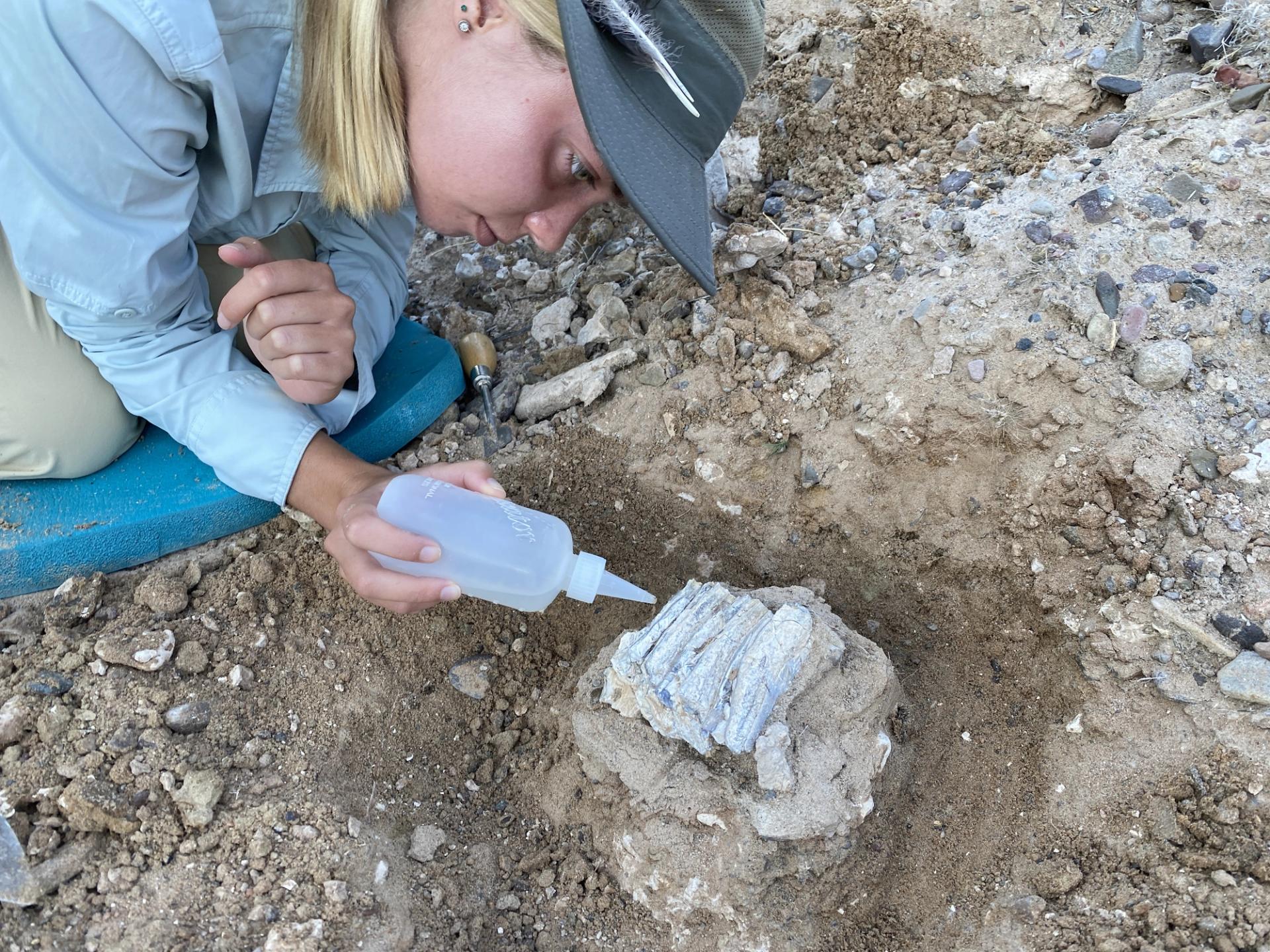 Photo of GeoCorps Participant in the field testing a rock for reactivity with HCl acid