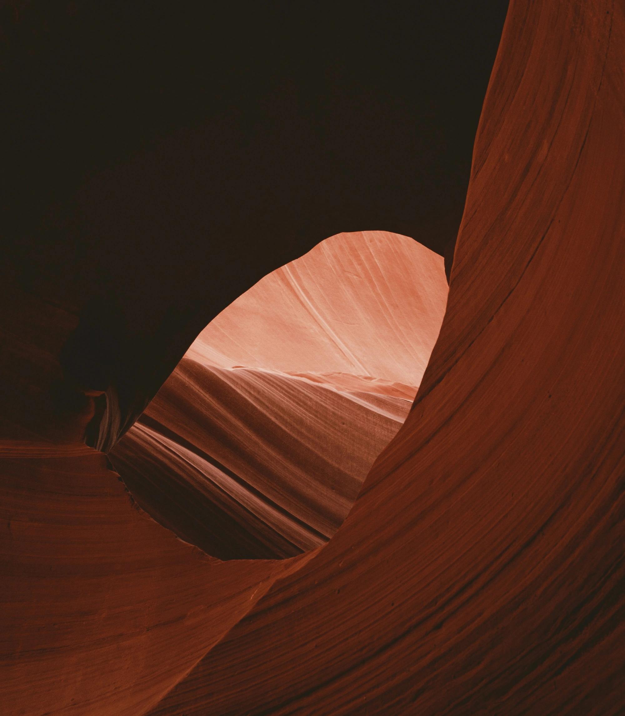 The Geological Society of America
