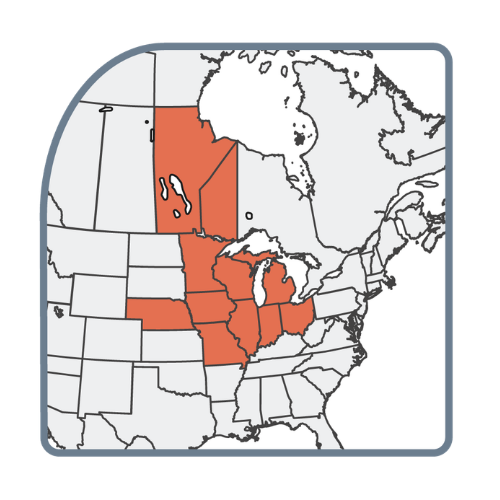 North-Central Section