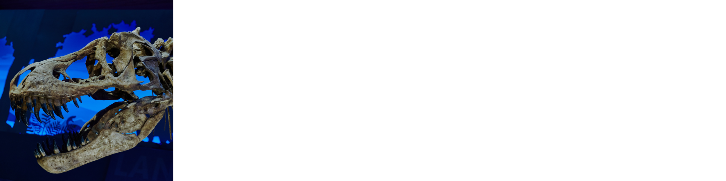 Dinosaur