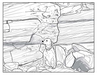 stray dog PDF thumbnail