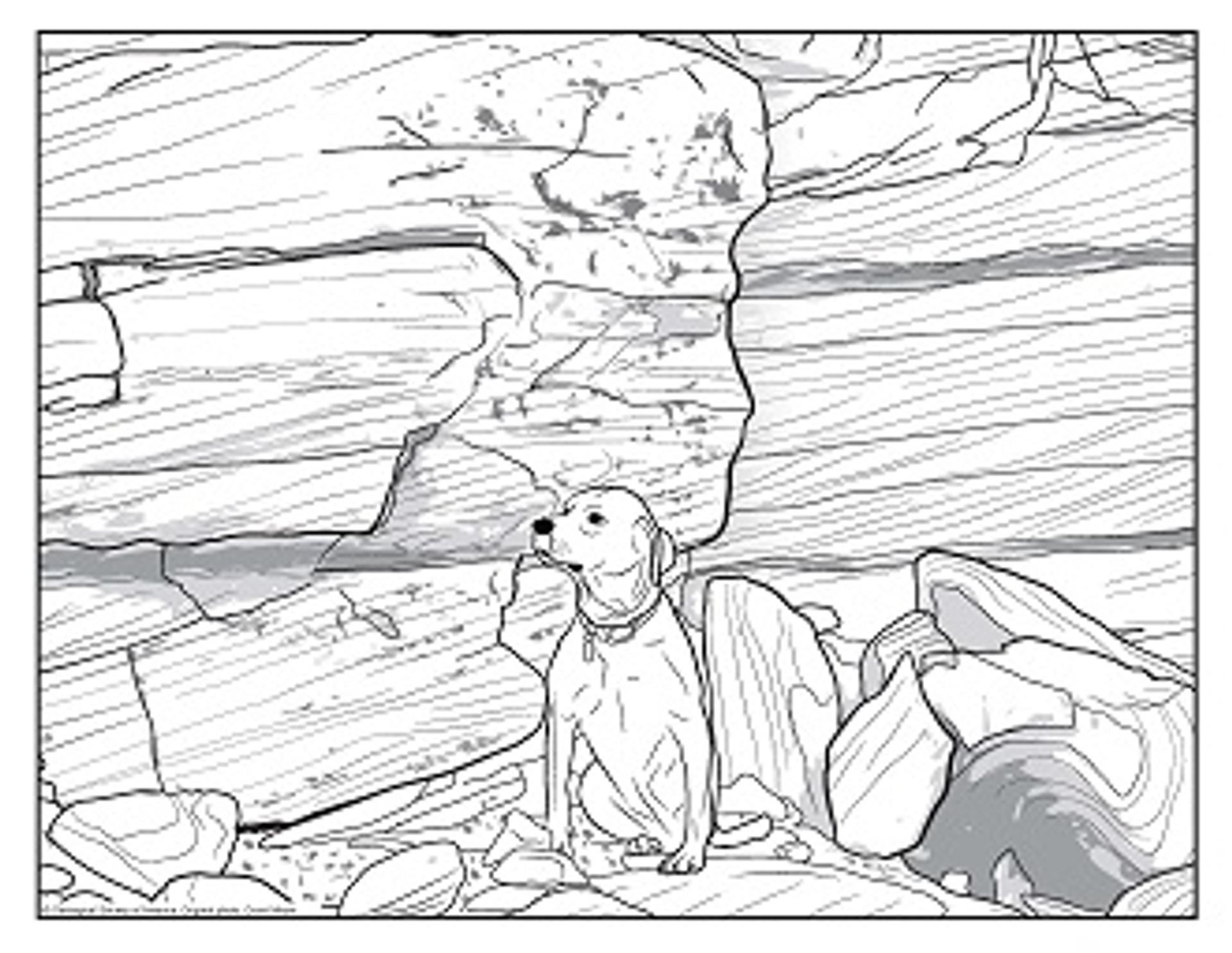 stray dog PDF thumbnail