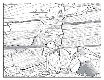 stray dog PDF thumbnail