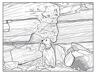 stray dog PDF thumbnail
