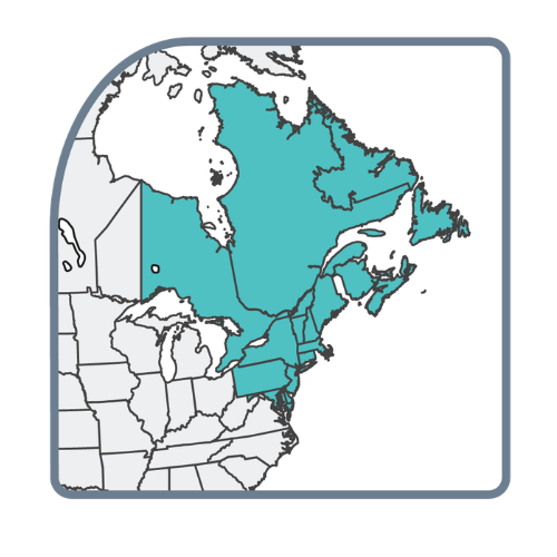 Northeastern Section Logo