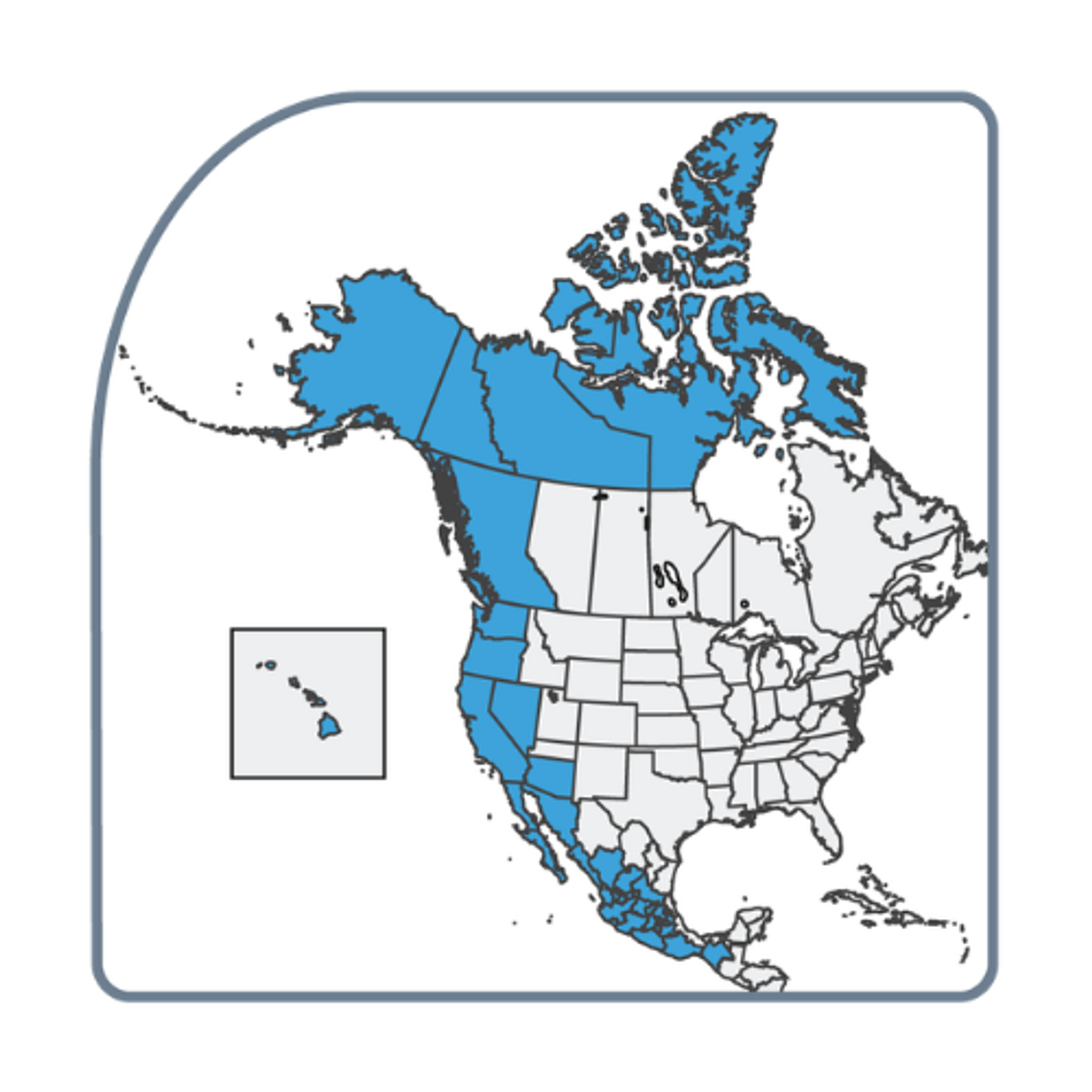 Cordilleran Section
