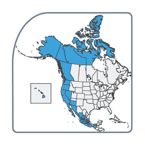Cordilleran Section