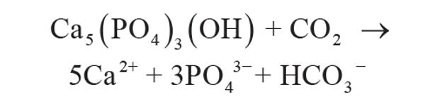 Equation 5