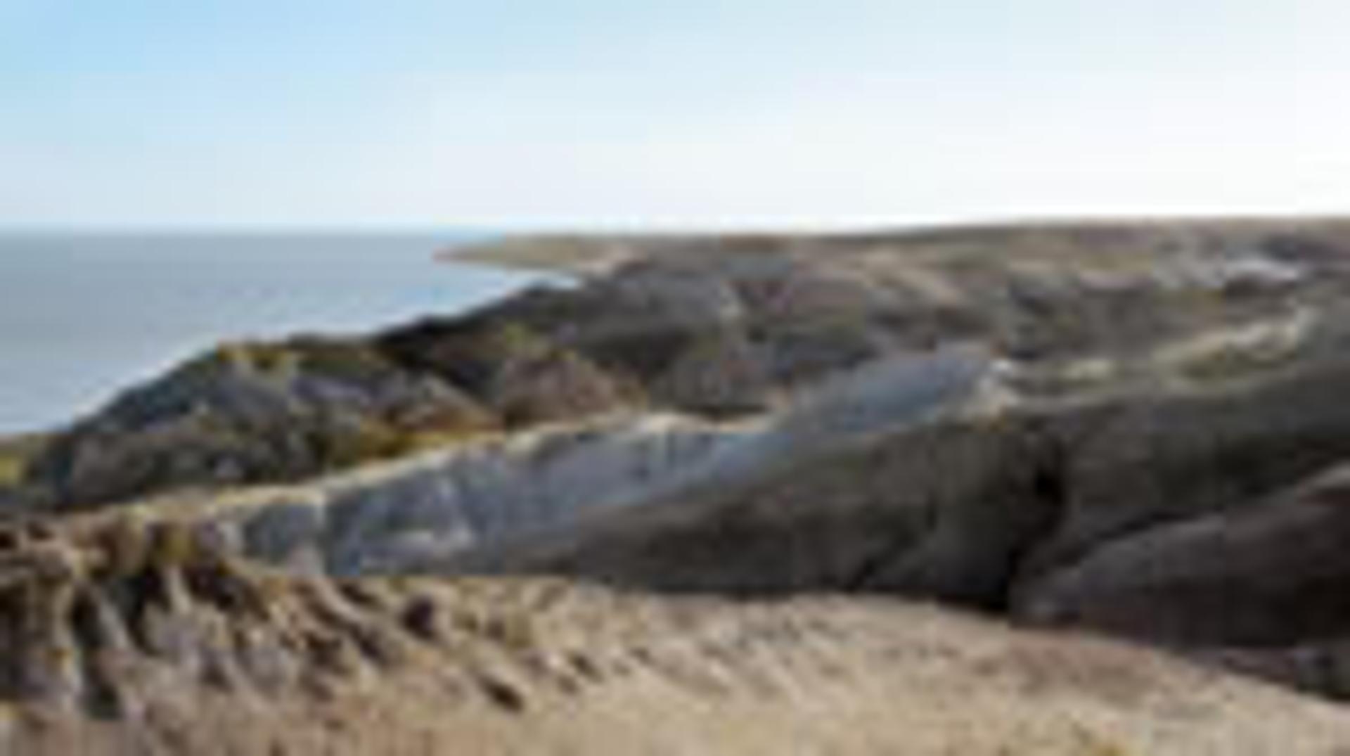 A photo of Miocene Uplift
