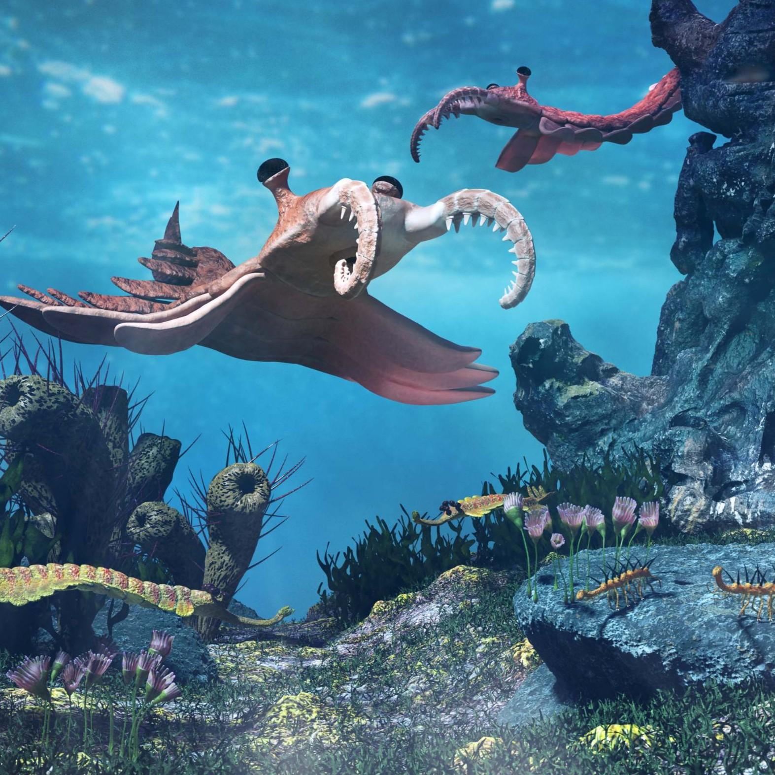 Illustration of early animals in shallow sea during the Cambrian Explosion around 540 million years ago