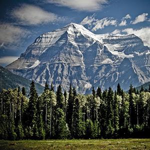 A snowy striated mountain peak with trees in the foreground.