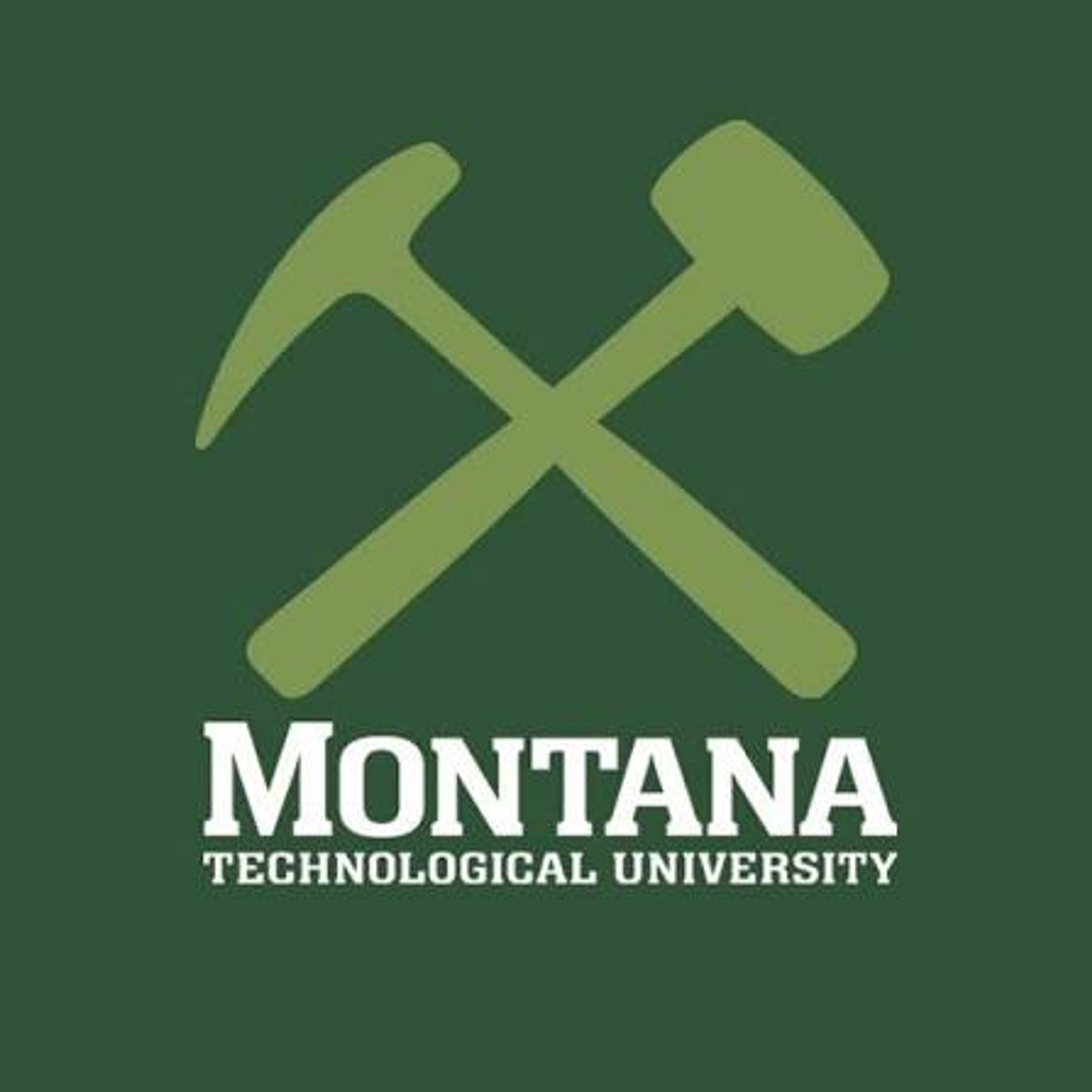Montana Technological University