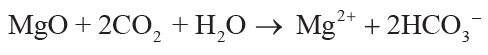 Equation 1