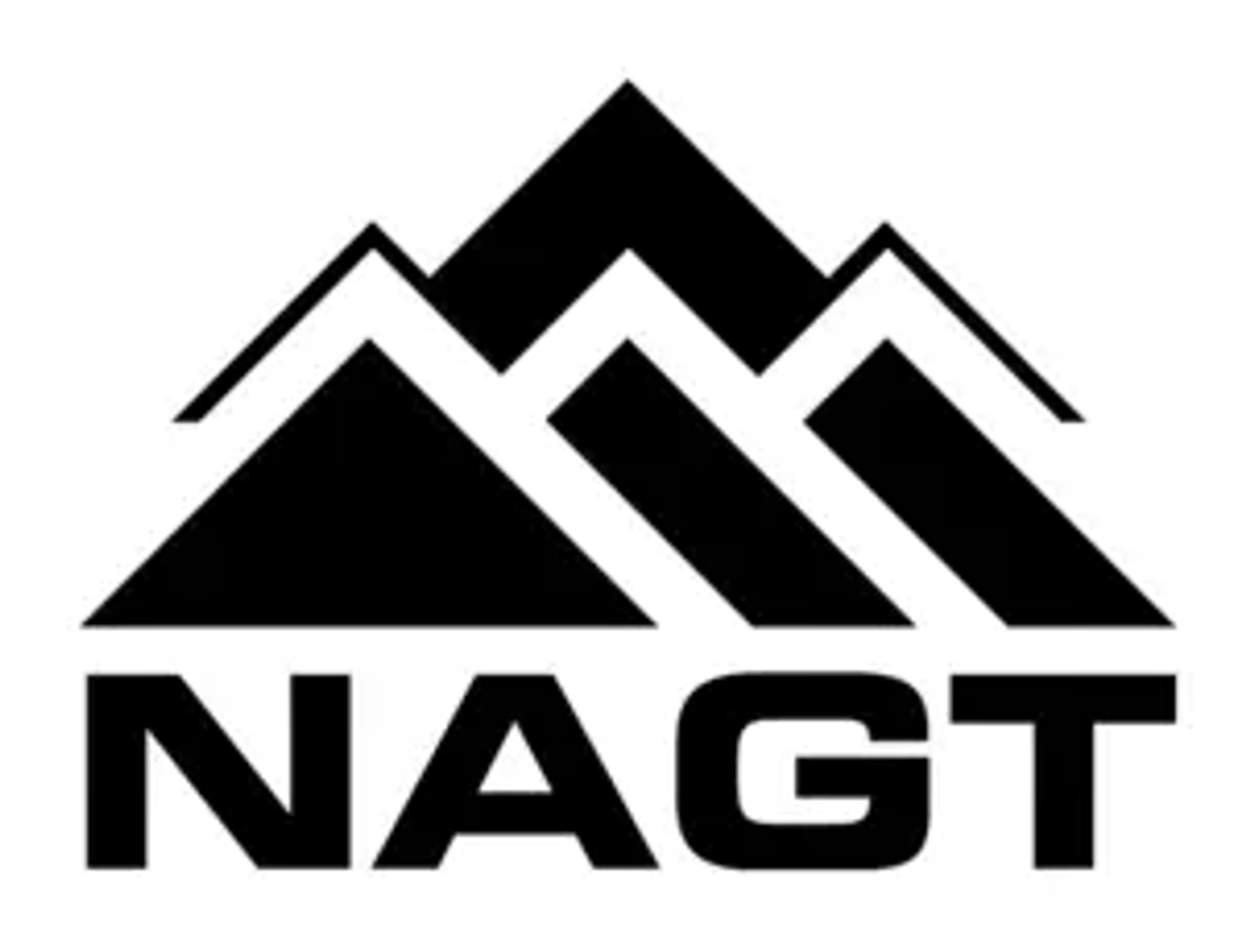 NAGT Eastern and Northeastern Sections (National Association Of Geoscience Teachers)'s logo