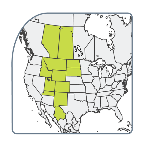 Rocky Mountain Section Logo