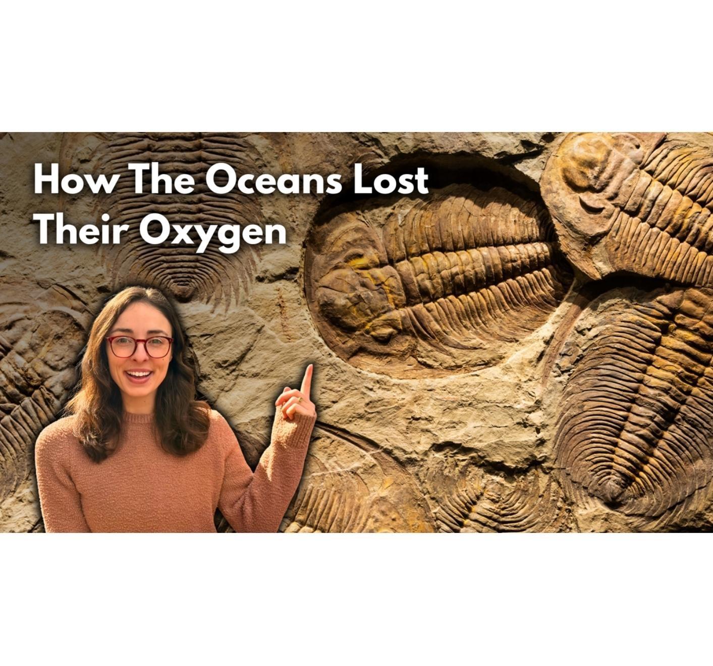 Image of Trilobite fossils for a YouTube thumbnail of a video summarizing the findings of a GSA research article on the Devonian Mass Extinction