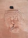 Geologic outcrops cover image