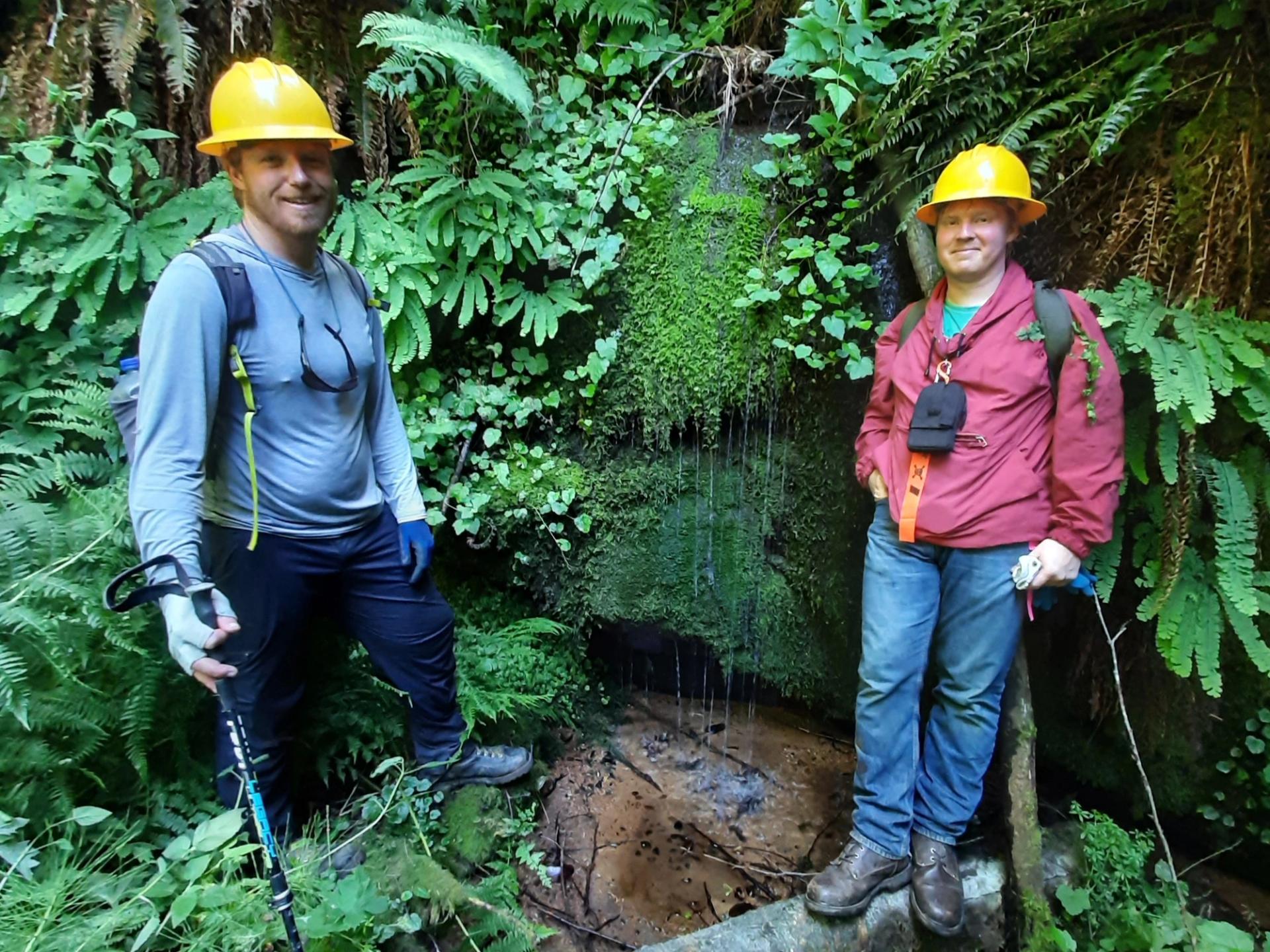 Photo of GeoCorps Participants in the field with luscious green plant life