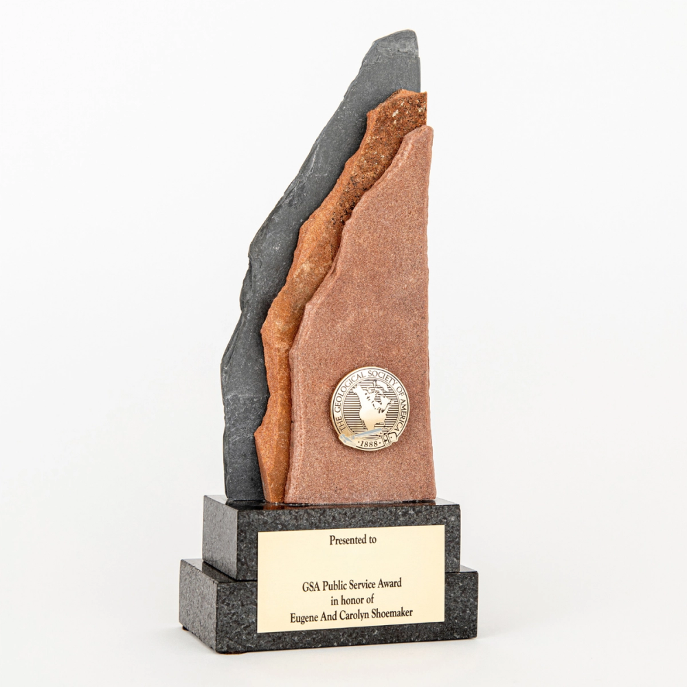 GSA Public Service Award