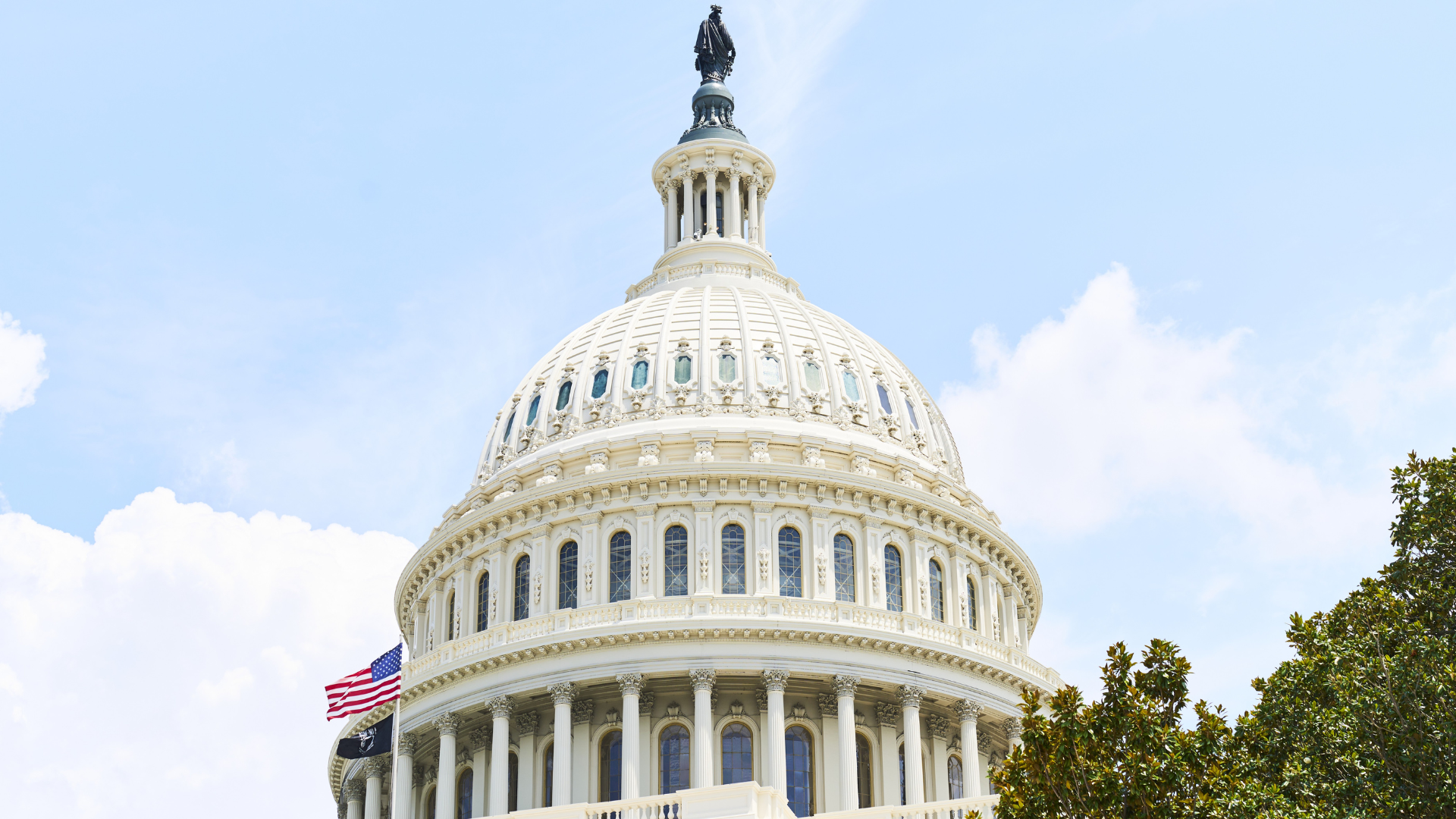Capitol Building in D.C.
