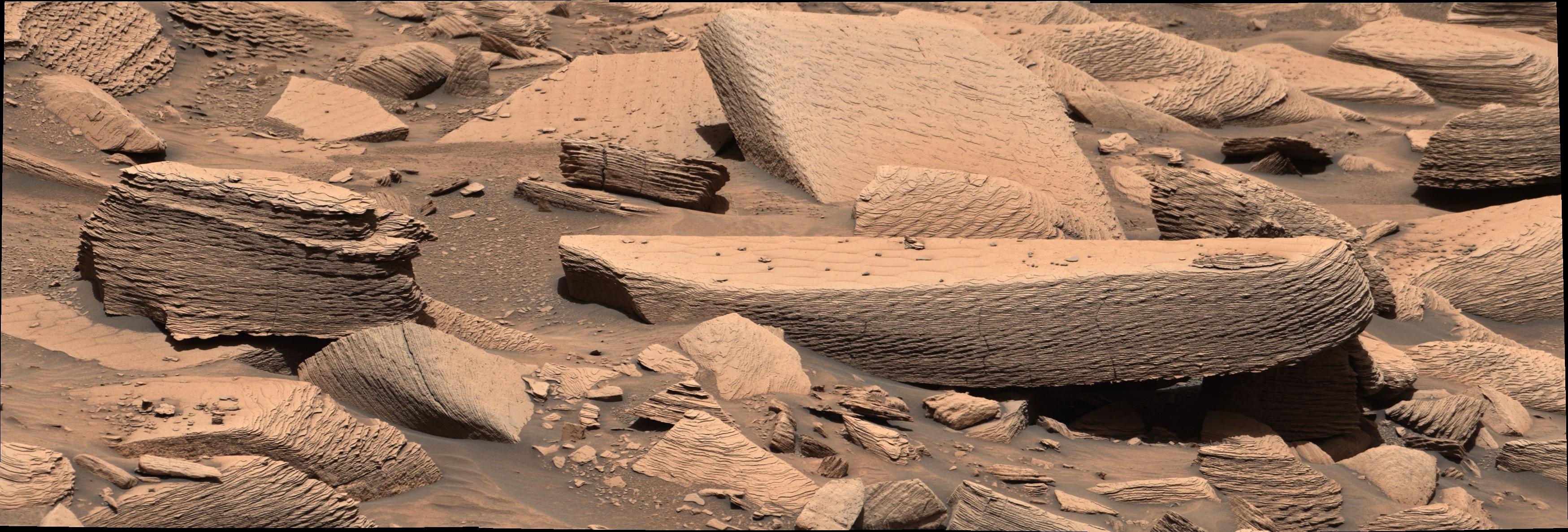 A closer view of the supercritical climbing wind ripples that provide direct evidence of a sandstorm, roughly three and a half billion years ago