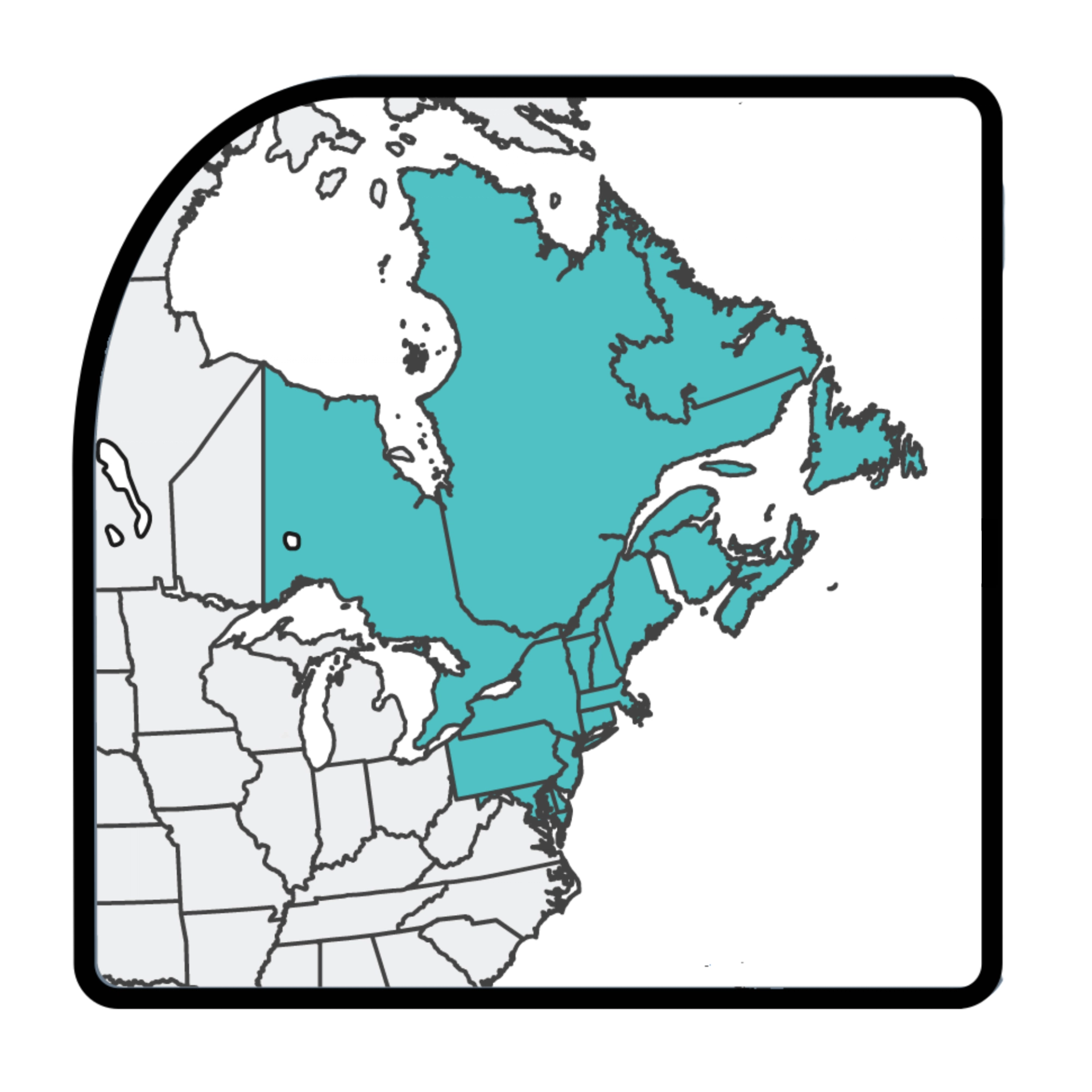 Northeastern Section Logo