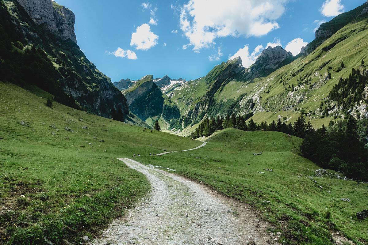 Photo credit: Daniel Sessler on Unsplash