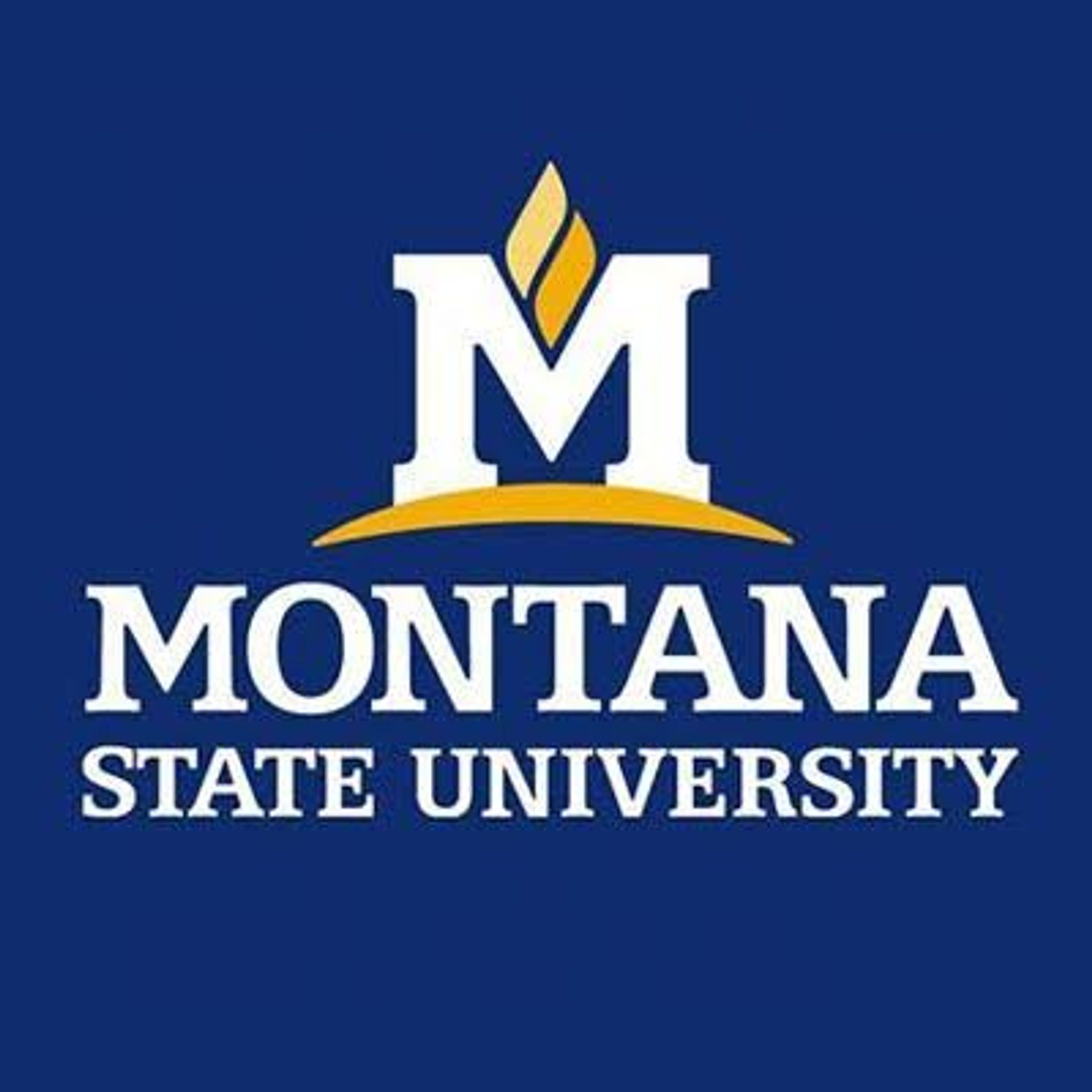 Montana State University