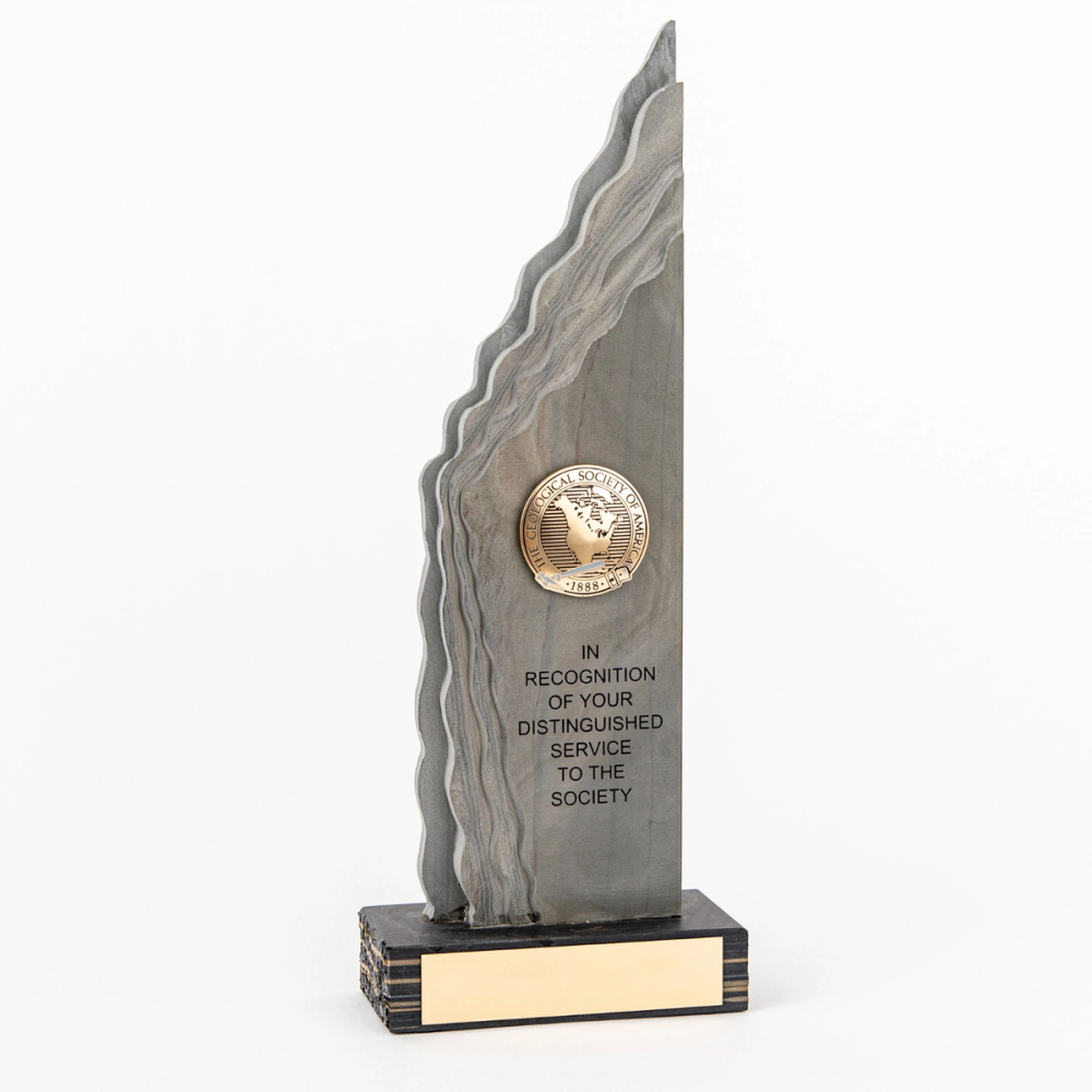GSA Distinguished Service Award