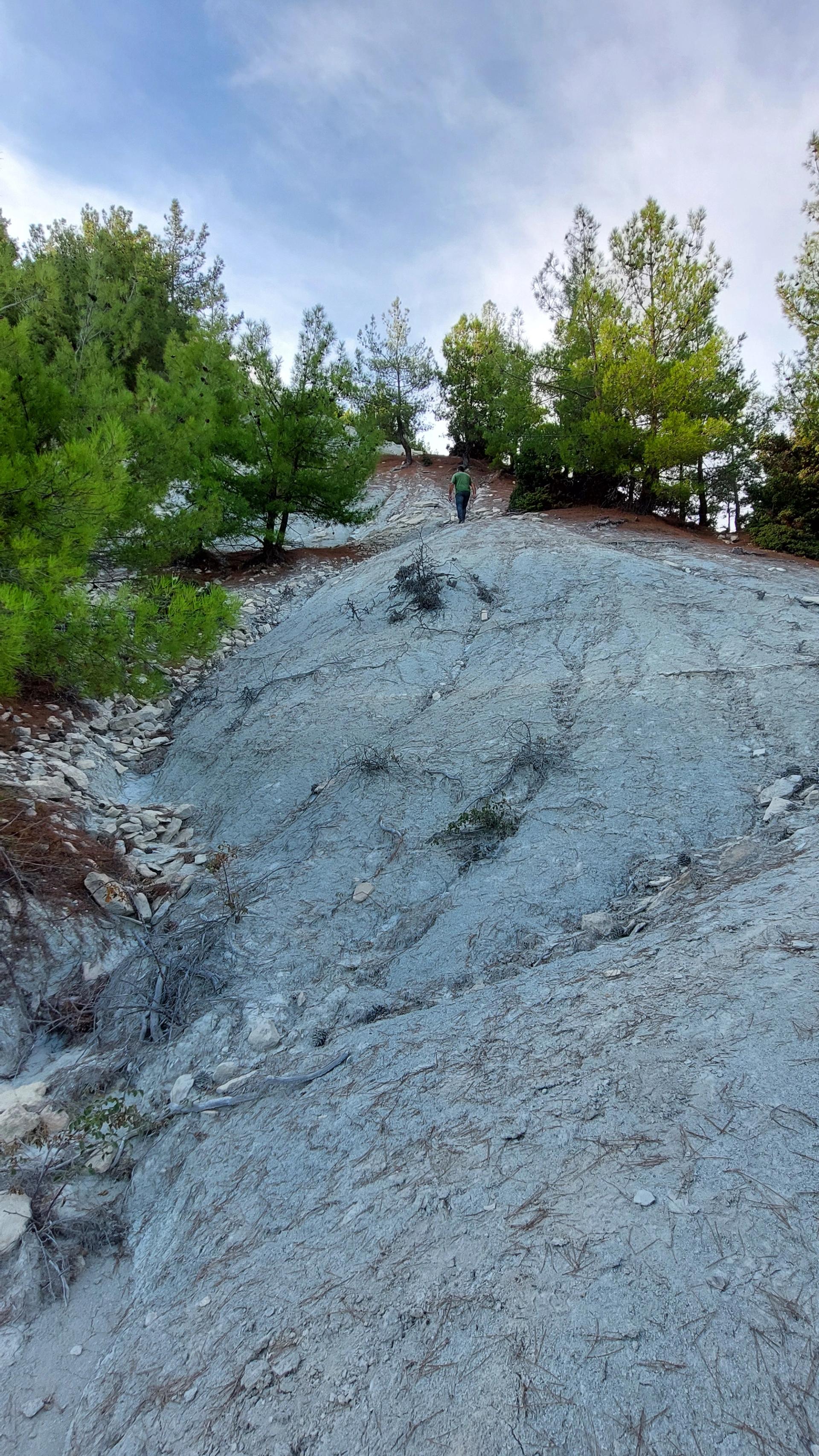 TOL-1 Section, Mut Basin, Turkey. Courtesy Selma Sarı.