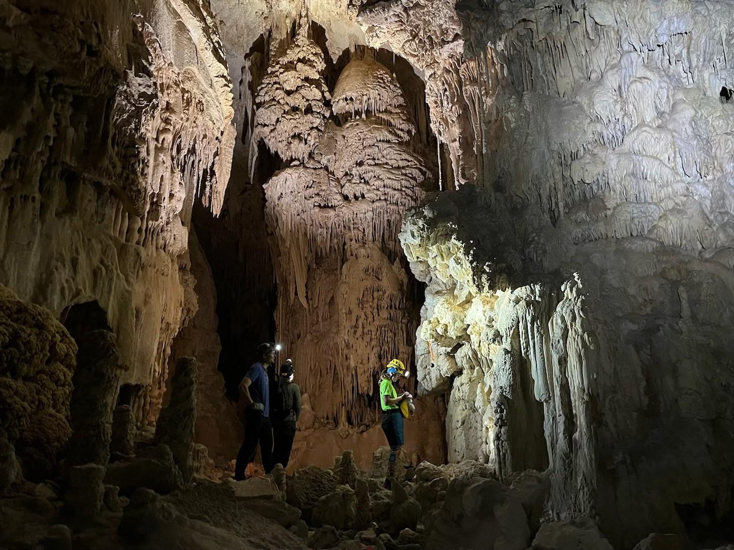 Photo of Scientists in the Park Participants in a cave with large speleothems