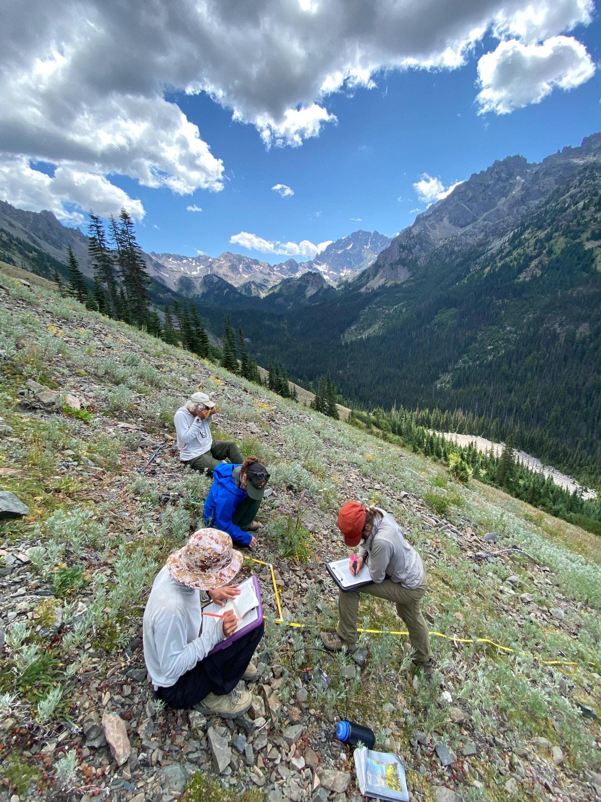 Four researchers work on a steep, rocky subalpine slope, using clipboards and measuring tape to record data. A deep mountain valley and jagged peaks stretch into the distance under a bright, cloud-filled sky.