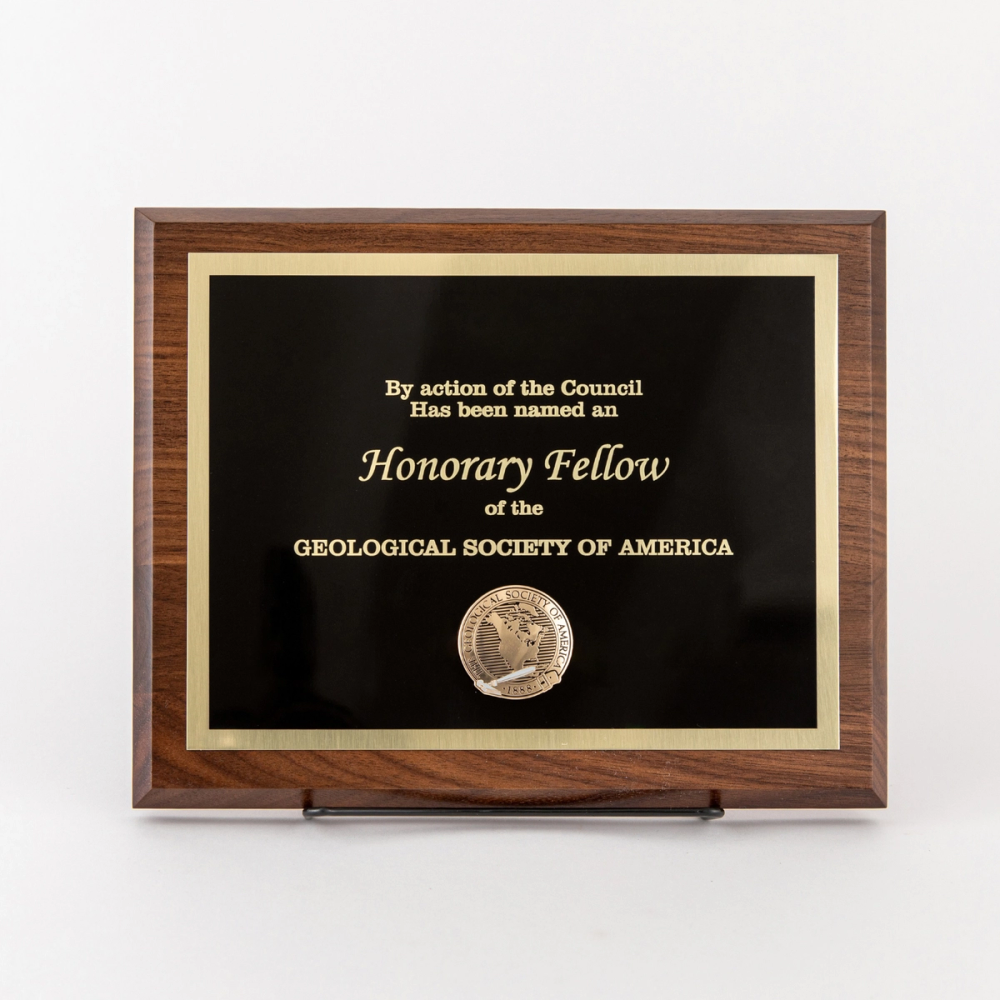 GSA Honorary Fellow Award