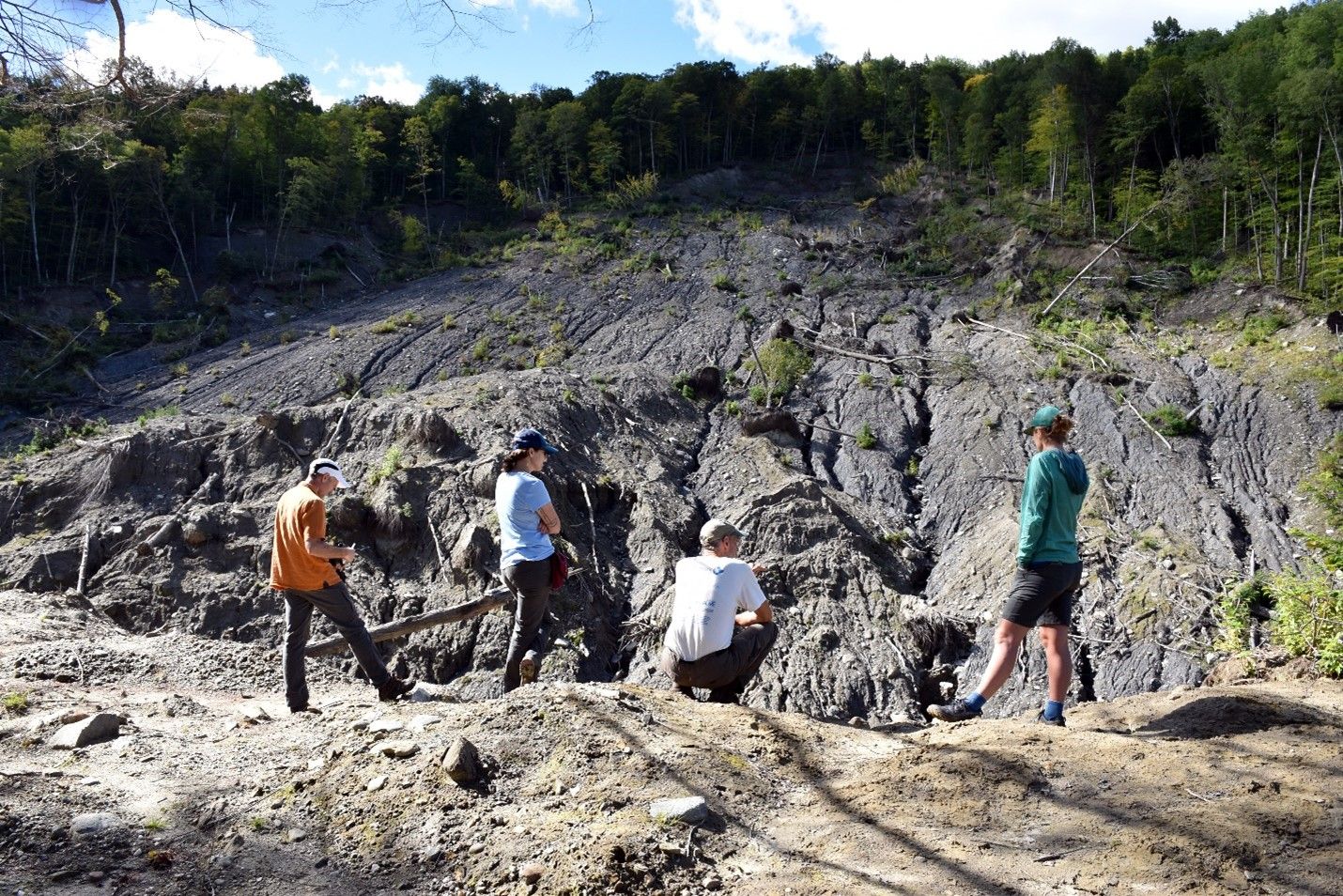 Cotton Brook Landslide