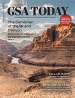 Cover Image: November 2024