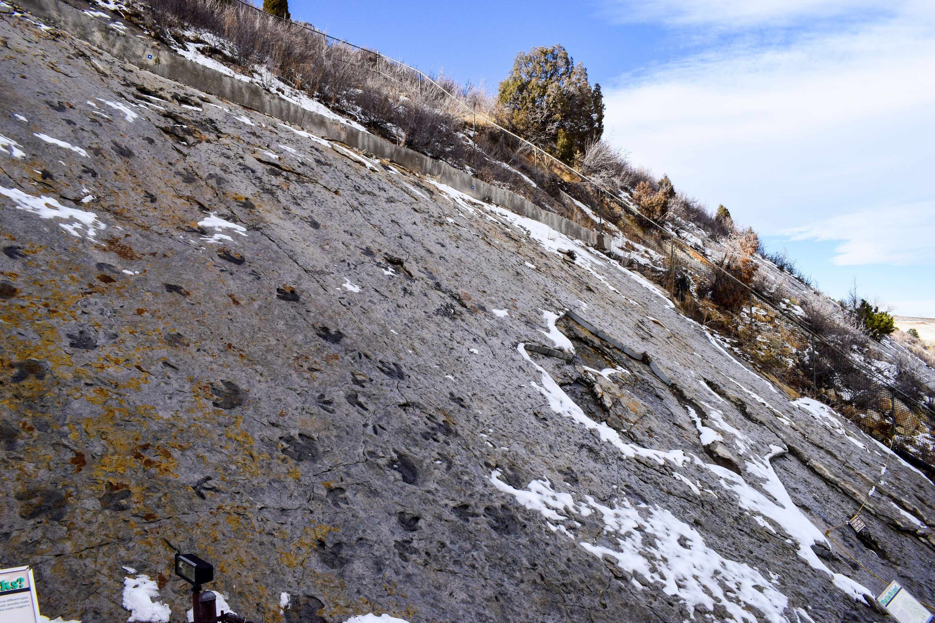 Scenic image of Dinosaur Tracks at Dinosaur Ridge Colorado