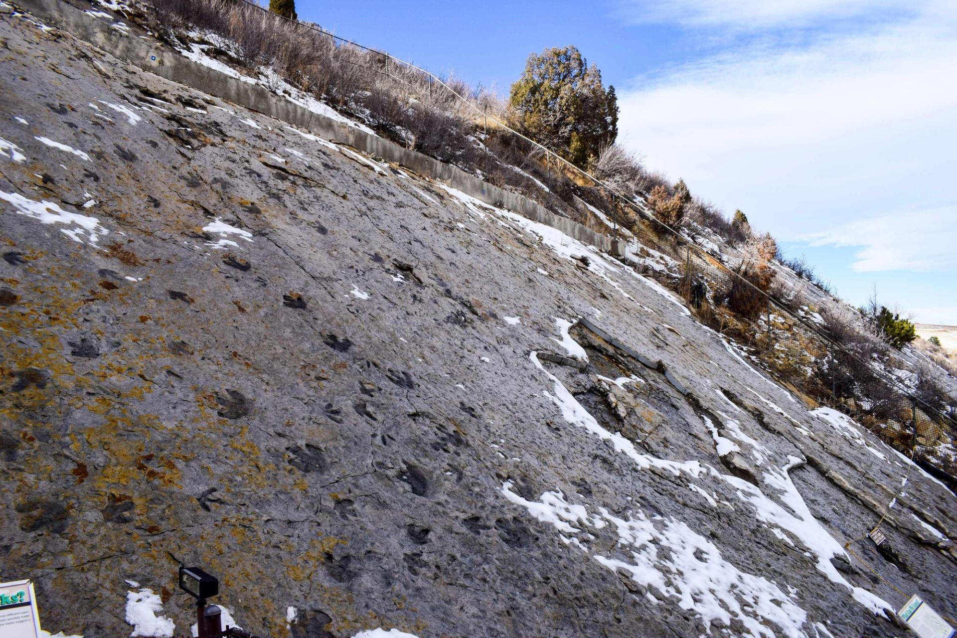 Scenic image of Dinosaur Tracks at Dinosaur Ridge Colorado