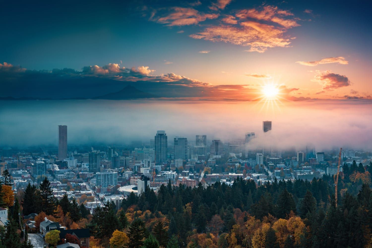 Portland