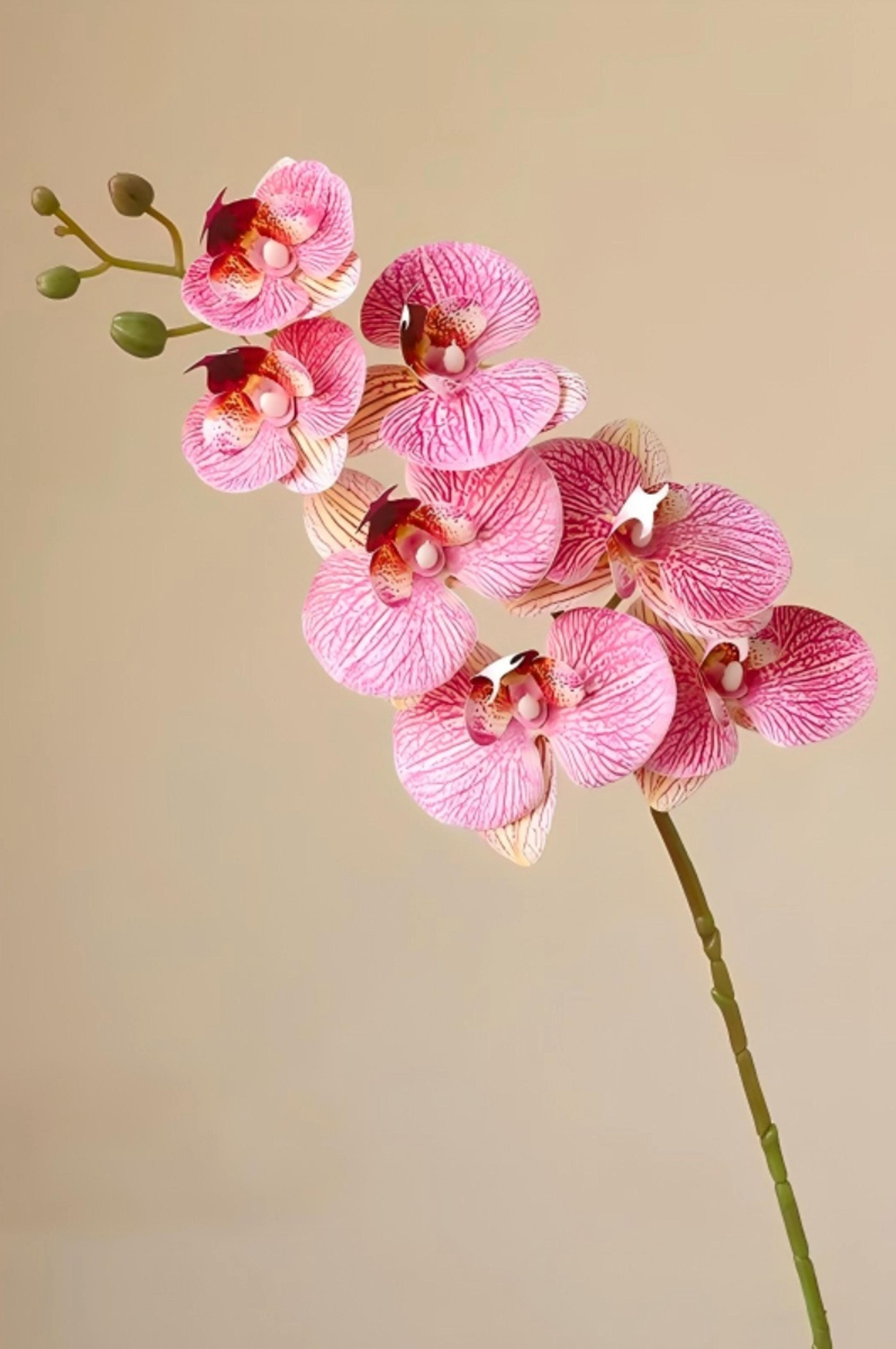 Artificial Phalaenopsis  Orchid Flower Set, Deep  Purple Red Artificial  Butterfly Flower for  Wedding Party Home  Decoration | per stick