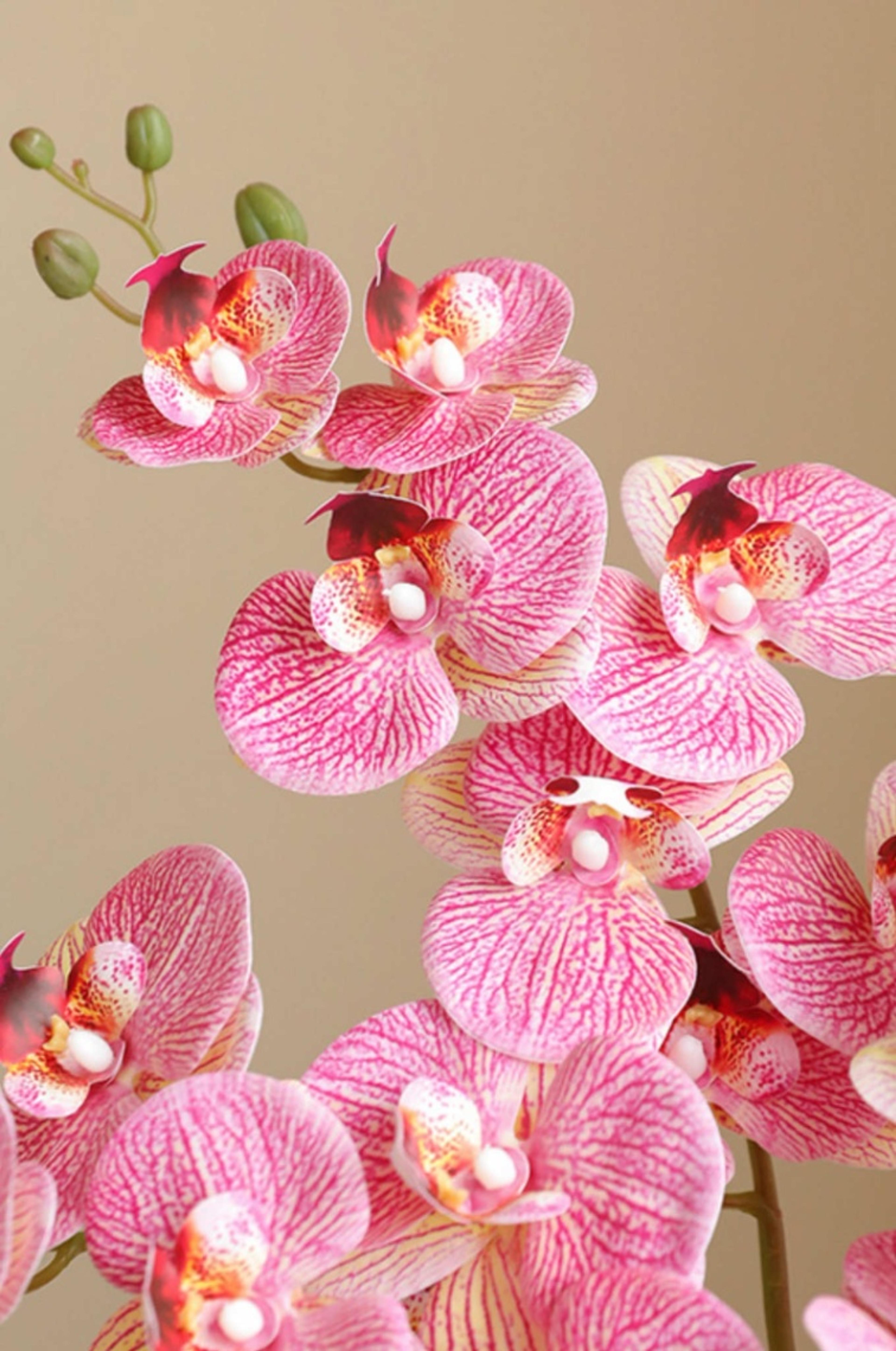 Artificial Phalaenopsis  Orchid Flower Set, Deep  Purple Red Artificial  Butterfly Flower for  Wedding Party Home  Decoration | per stick