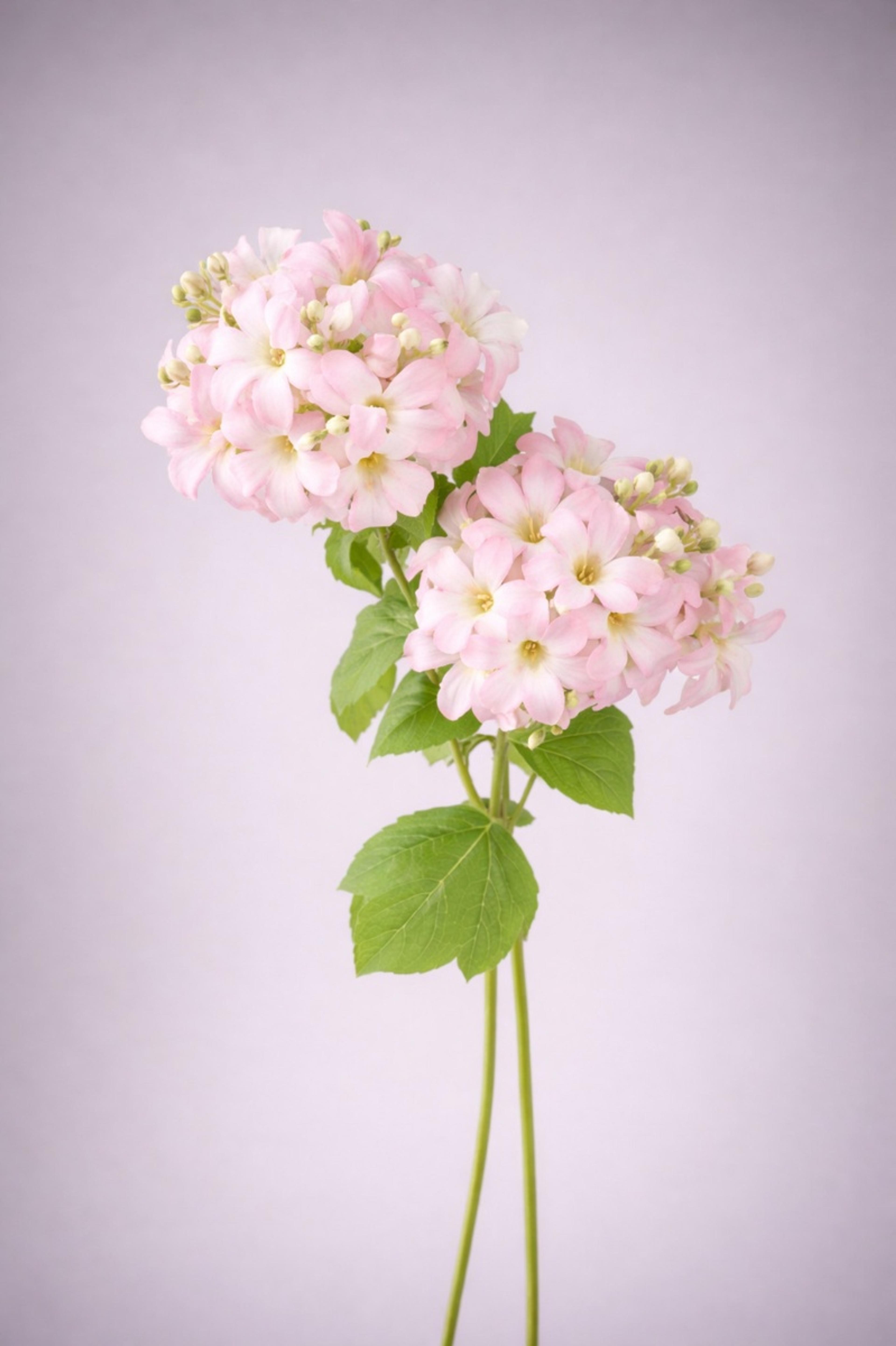 2 Heads Blue Artificial  Silk Hydrangea Wedding  Floral,Wedding Decor ation, Fake Flower Craft s, Home Floral Decor,  Gift | per stick