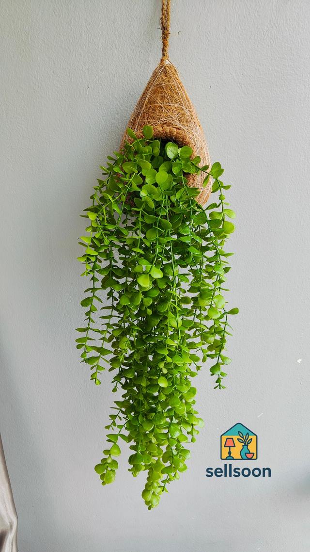 āĻĒā§āϰāĻŋāĻŽāĻŋāϝāĻŧāĻžāĻŽ āĻŽā§āĻāĻžāϞ āĻāĻŦ āϏāĻš ā§§ā§Ļ" āĻāϰā§āĻāĻŋāĻĢāĻŋāĻļāĻŋāϝāĻŧāĻžāϞ āĻĢā§āϞ āϏā§āĻ | āϰāĻžāĻŦāĻžāϰ āĻĢā§āϞā§āϰ āϏā§āĻāĻžāĻāϞāĻŋāĻļ āĻĄā§āĻā§āϰāĨ¤