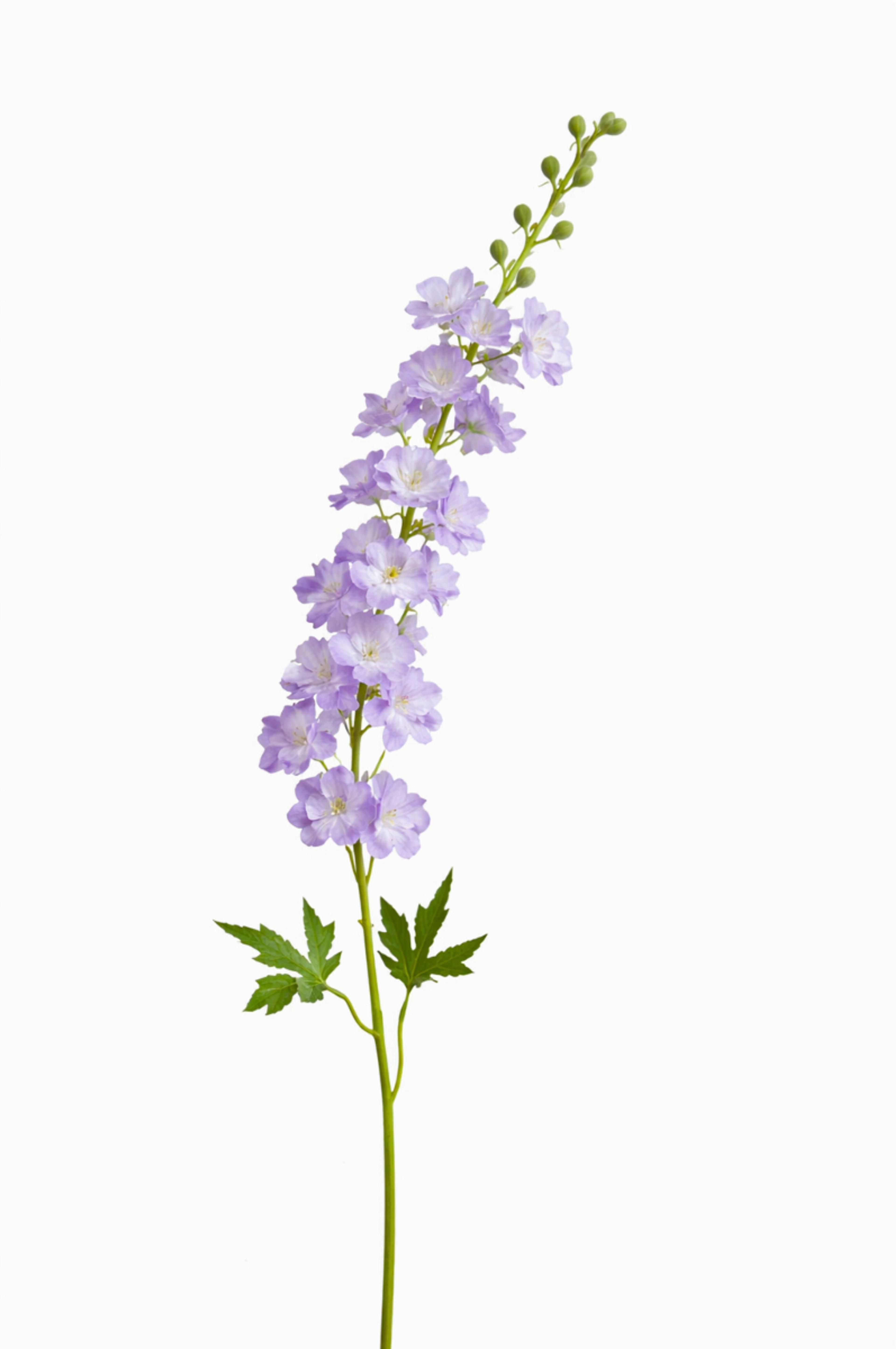 Fake Delphinium with Leaves, Silk Delphinium Flowers, Artificial Flower Crafts, Bloom for Bridal Bouquets, Wedding Arrangement Centerpiece | per stick