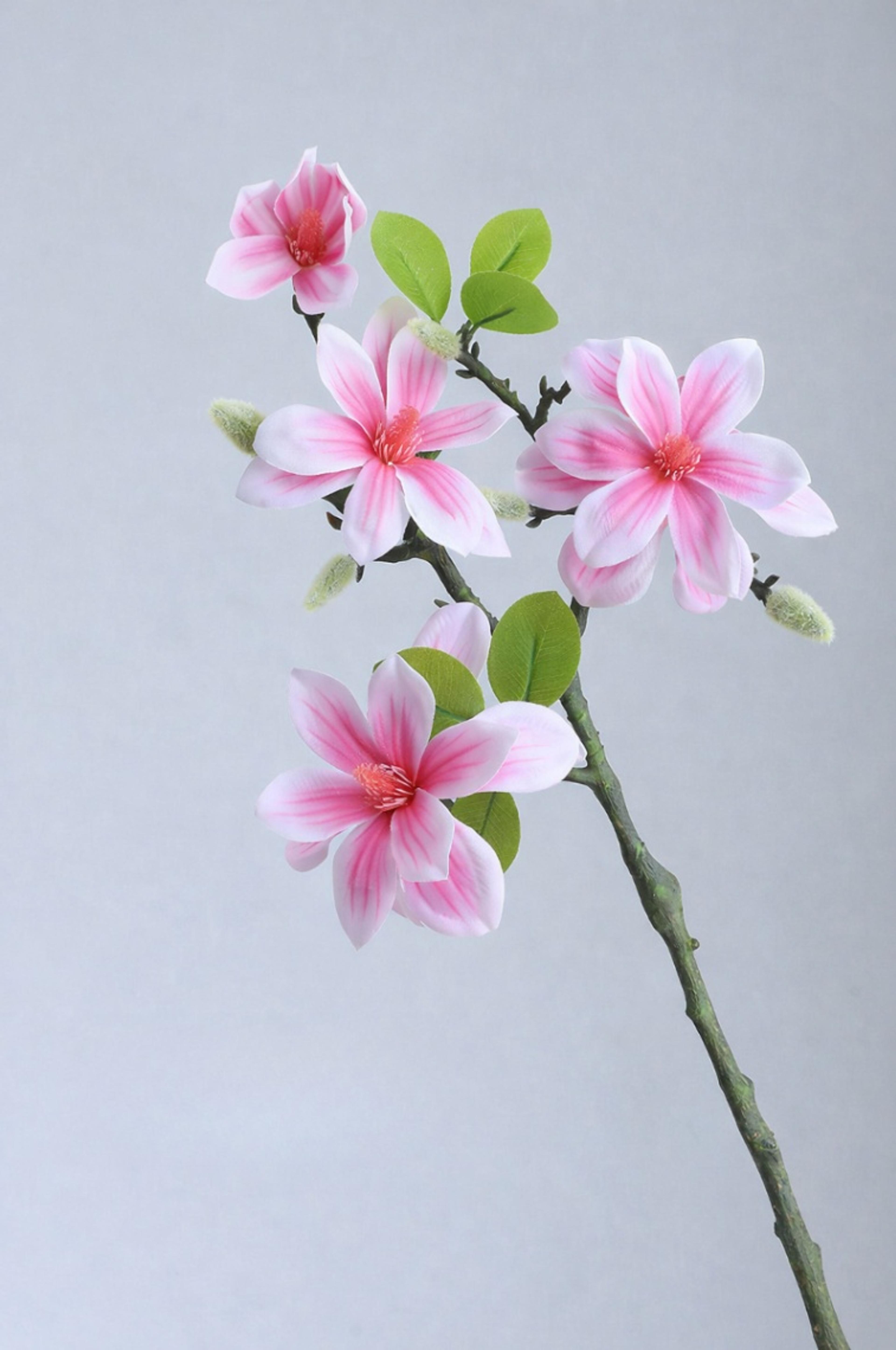 Chinese Silk Artificial Ma gnolia Flower Branch ,  Artificial Orchid Branc hes, Homee Stylists,  Event Planners ,Weddi ng Decoration, Elegant  Floral Stems, Decorative  Flower , Artificial Orchid | per Stick