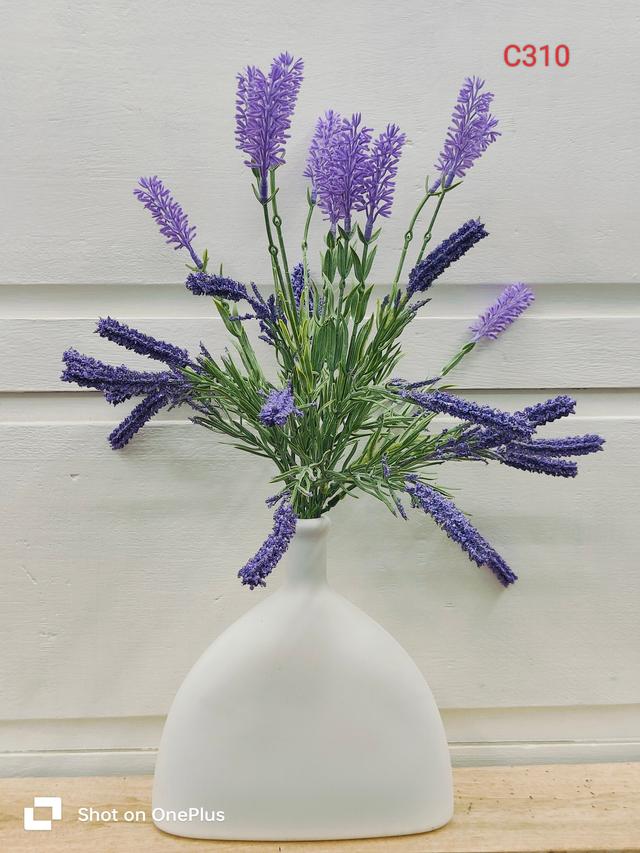 āĻāĻŦ āϏāĻš āĻāĻā§āĻāϤāĻž :17āĻāĻā§āĻāĻŋ âĸ āĻāĻŦā§āϰ āĻāĻā§āĻāϤāĻž :7 āĻāĻā§āĻāĻŋ āĻĒā§āϰāĻŋāĻŽāĻŋāϝāĻŧāĻžāĻŽ āĻā§āϝāĻŧāĻžāϞāĻŋāĻāĻŋāϰ āĻĢā§āϞ âĸ āĻāĻĒāĻāϰāĻŖ :āĻĢā§āϞ āĻā§āϞ⧠āϰāĻžāĻŦāĻžāϰ āĻā§āĻā§āĻĄ āĻĢā§āĻŦā§āϰāĻŋāĻāϏ āĻāϰ āϤā§āϰ⧠âĸ āĻāĻŦā§āϰ āĻāĻĒāĻāϰāĻŖ :āĻĢāĻžāĻāĻŦāĻžāϰ āĻāϰ āϤā§āϰā§"