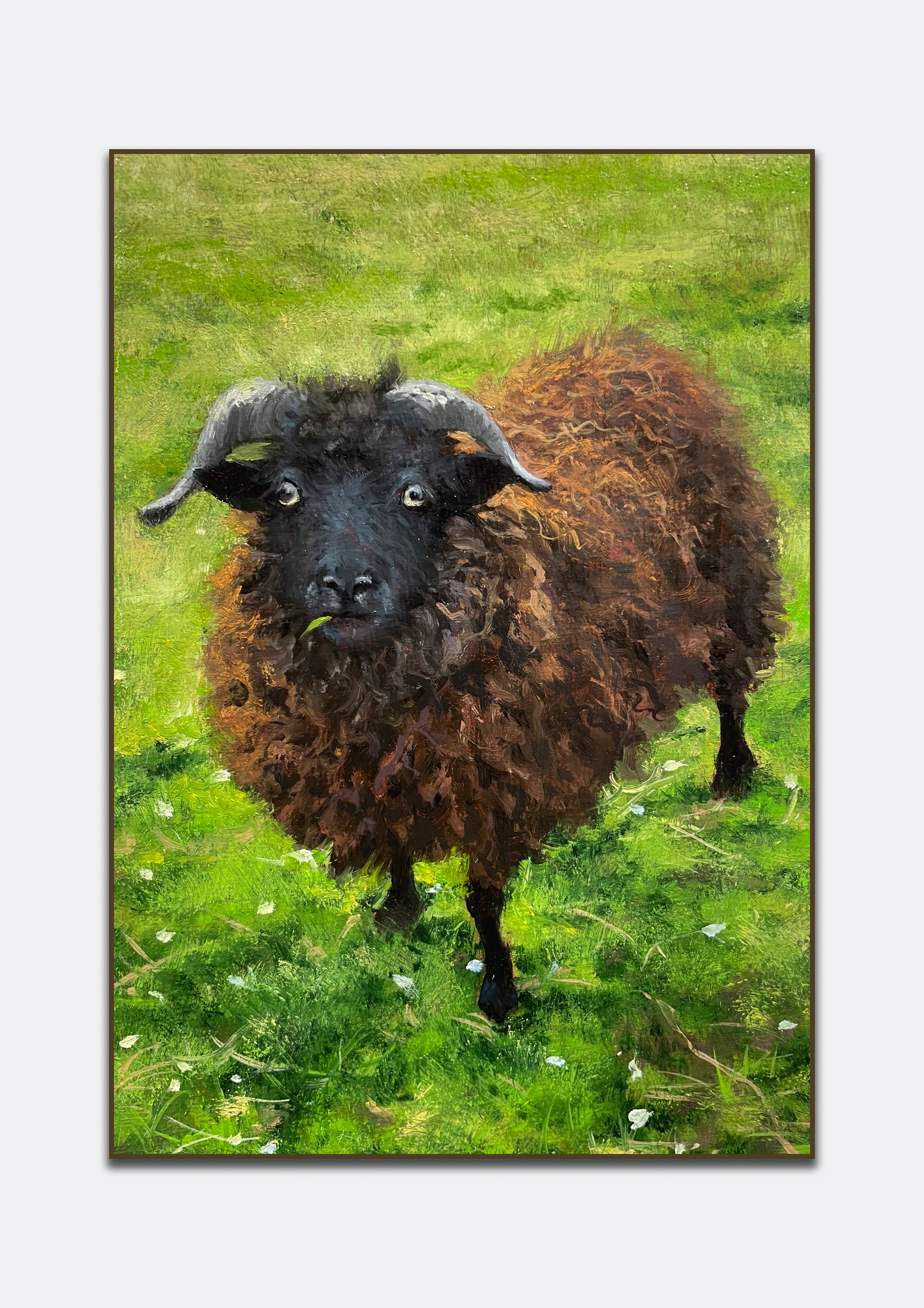 Le mouton, 2026