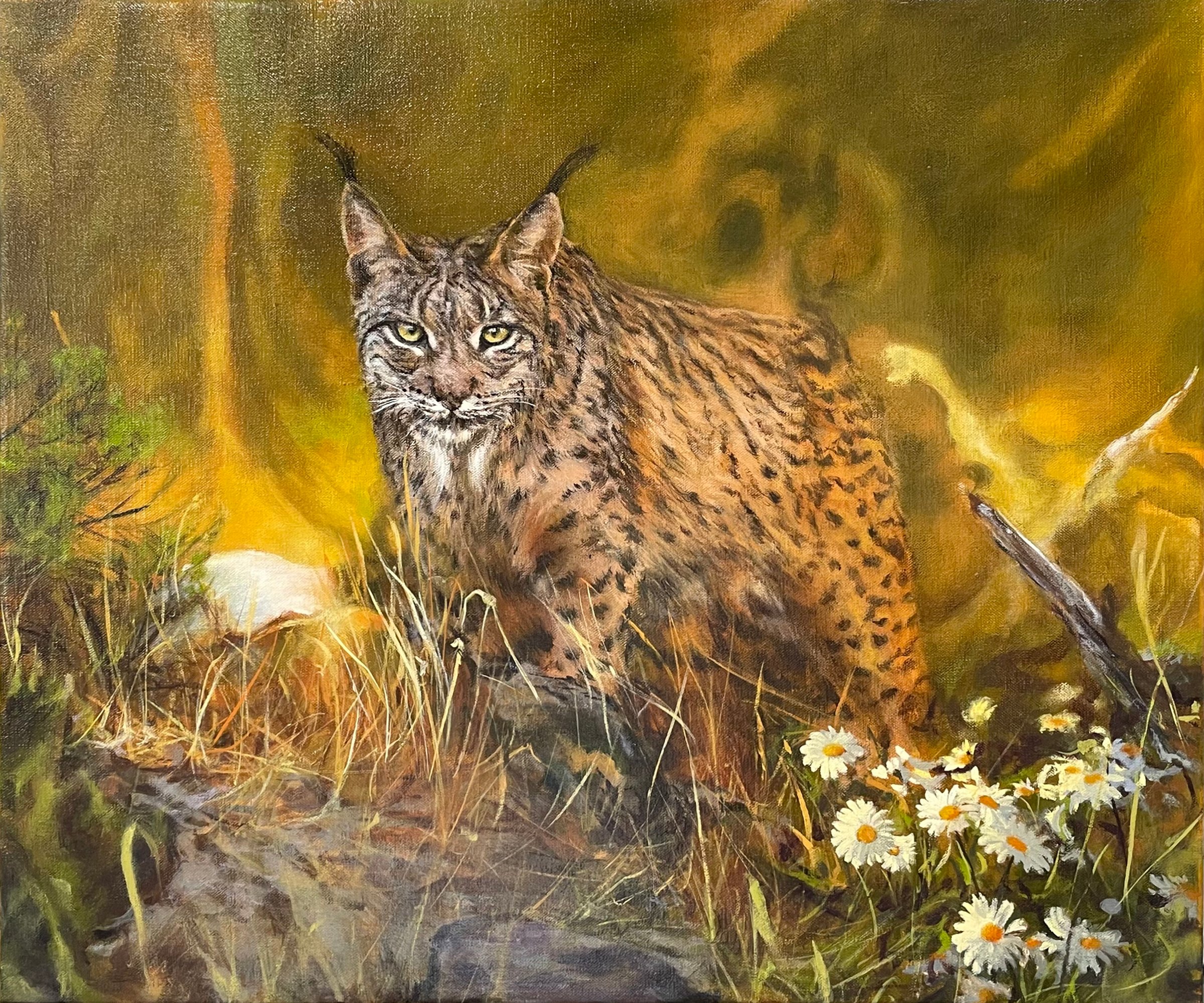 Le lynx, 2023